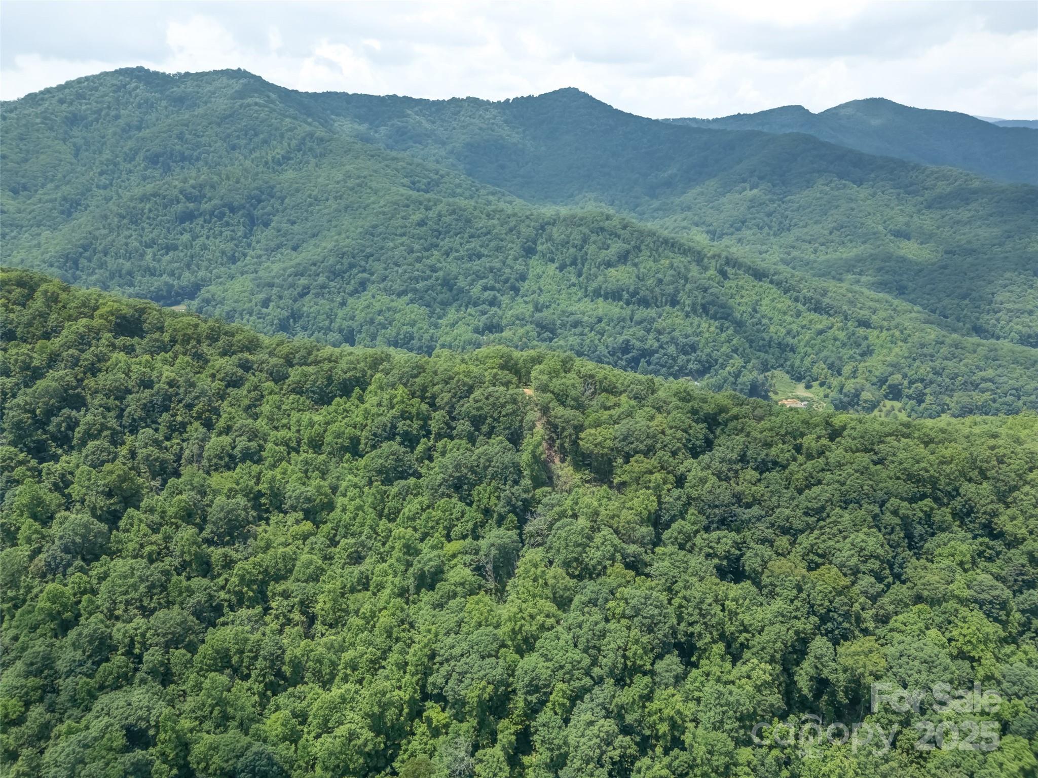 100 White Rock Br Road Candler, NC 28715 - Photo 22 of 32 a view of a mountain range with lush green forest
