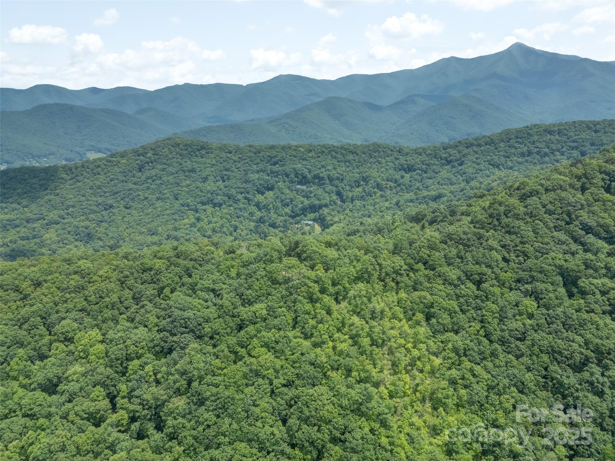 100 White Rock Br Road Candler, NC 28715 - Photo 24 of 32 a view of a lush green hillside and a houses