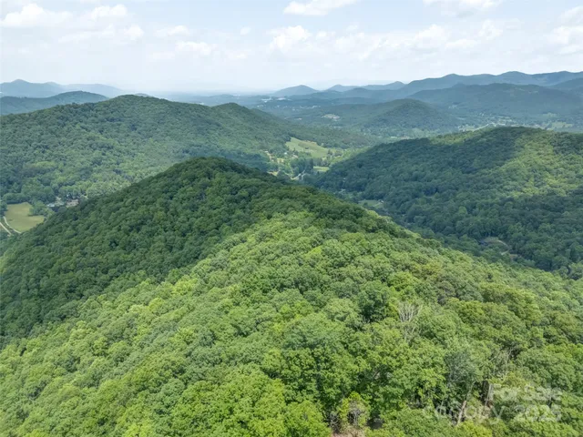 a view of a lush green hillside and mountains