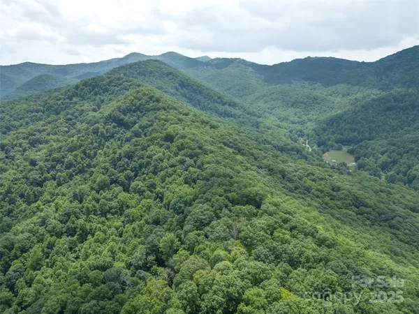 a view of a valley with a mountain in the background