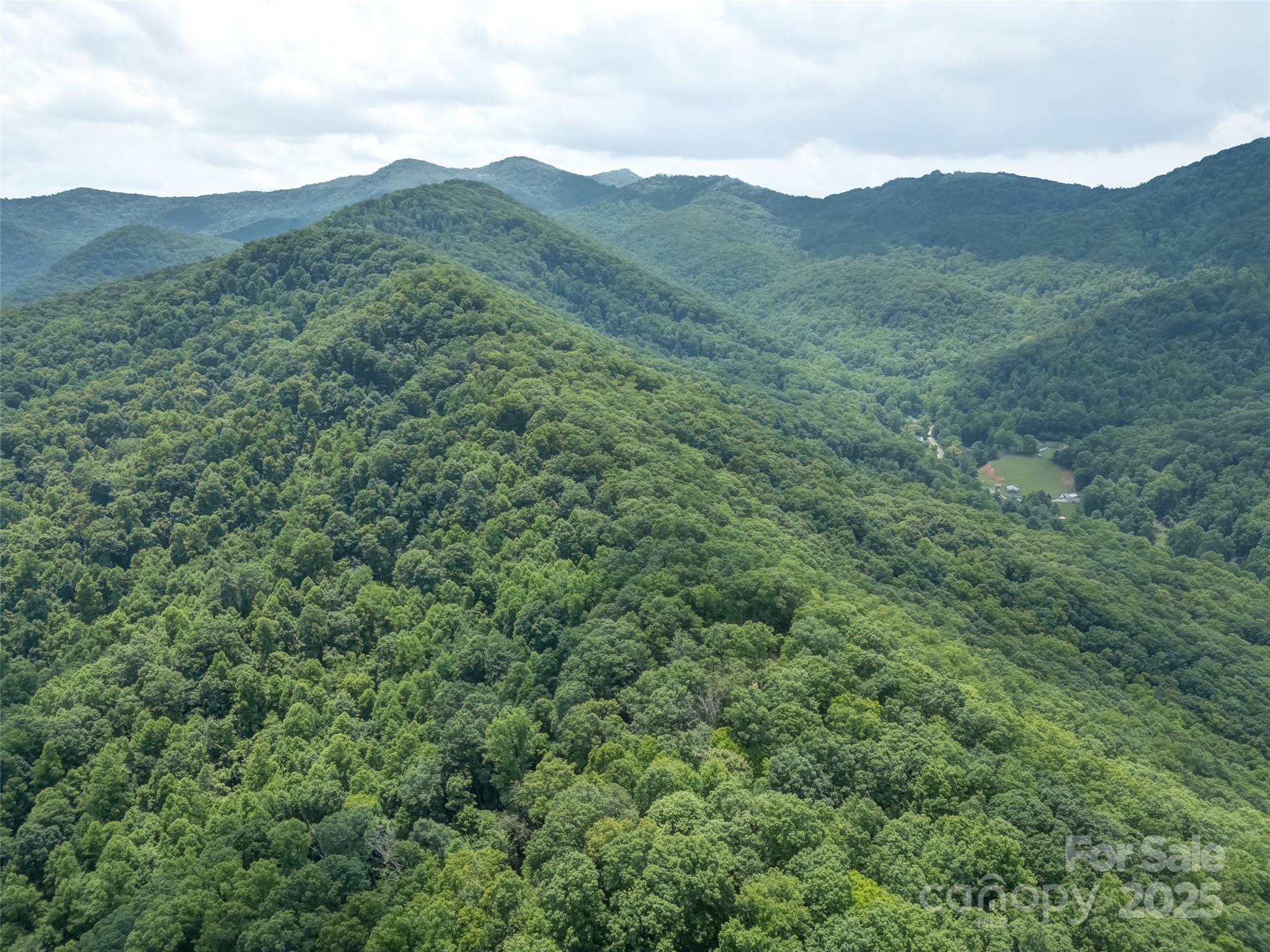 100 White Rock Br Road Candler, NC 28715 - Photo 27 of 32 a view of a valley with a mountain in the background