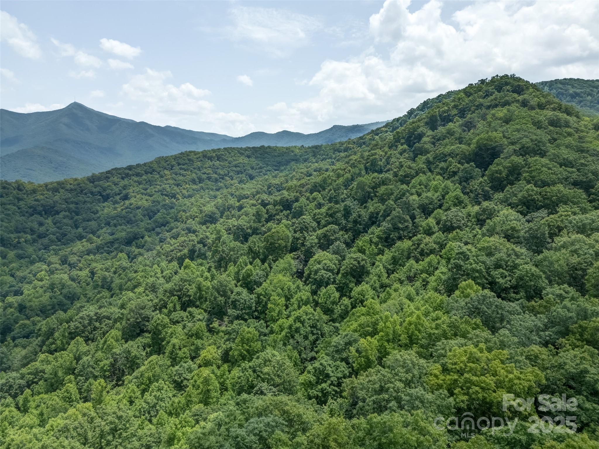 100 White Rock Br Road Candler, NC 28715 - Photo 28 of 32 a view of a lush green mountain in the distance