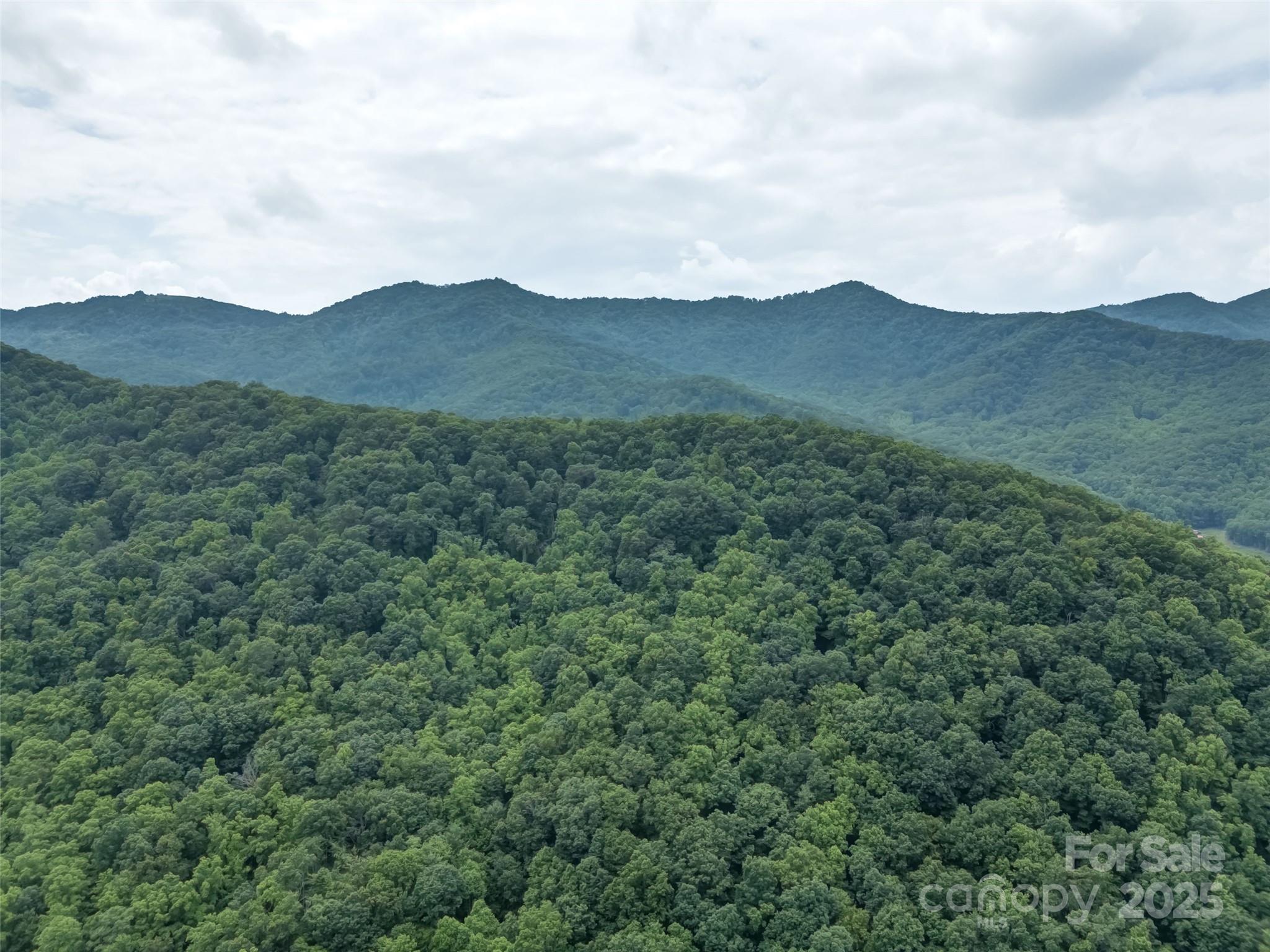 100 White Rock Br Road Candler, NC 28715 - Photo 29 of 32 a view of a mountain in the distance in a field