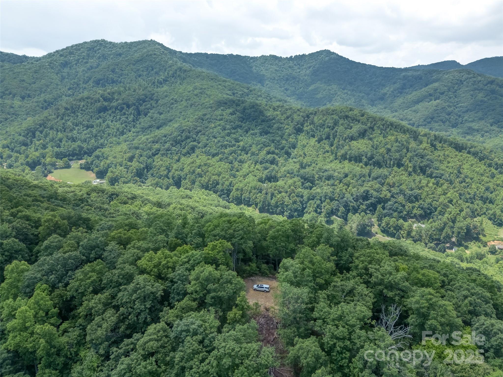 100 White Rock Br Road Candler, NC 28715 - Photo 3 of 32 a view of a mountain in the distance in a field