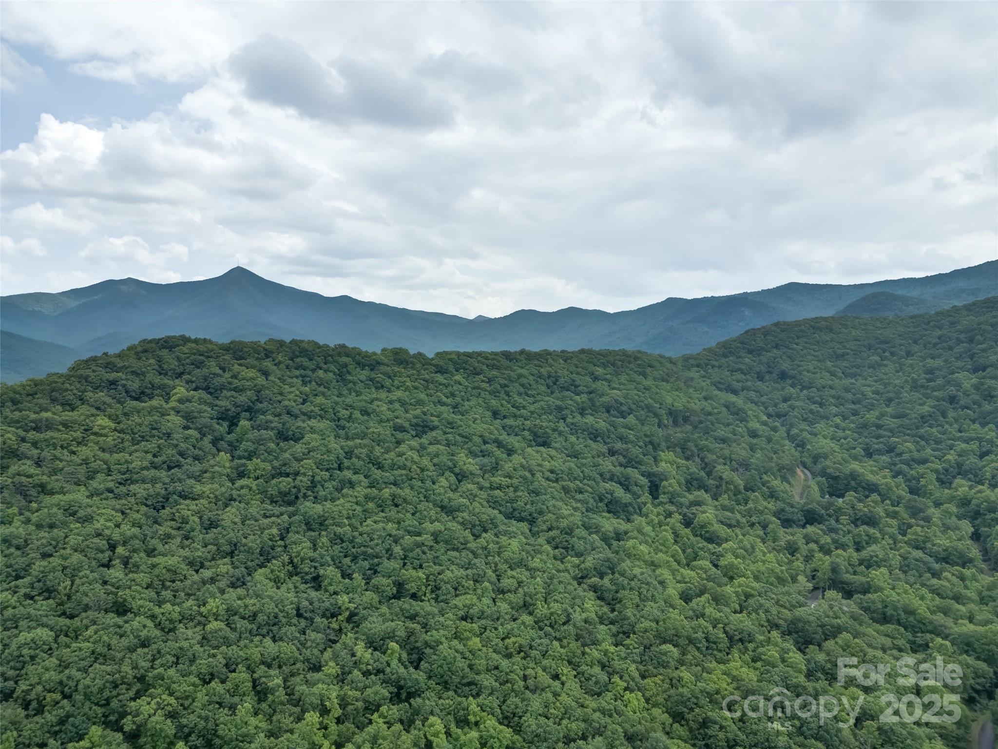 100 White Rock Br Road Candler, NC 28715 - Photo 31 of 32 a view of a lush green hillside and a houses