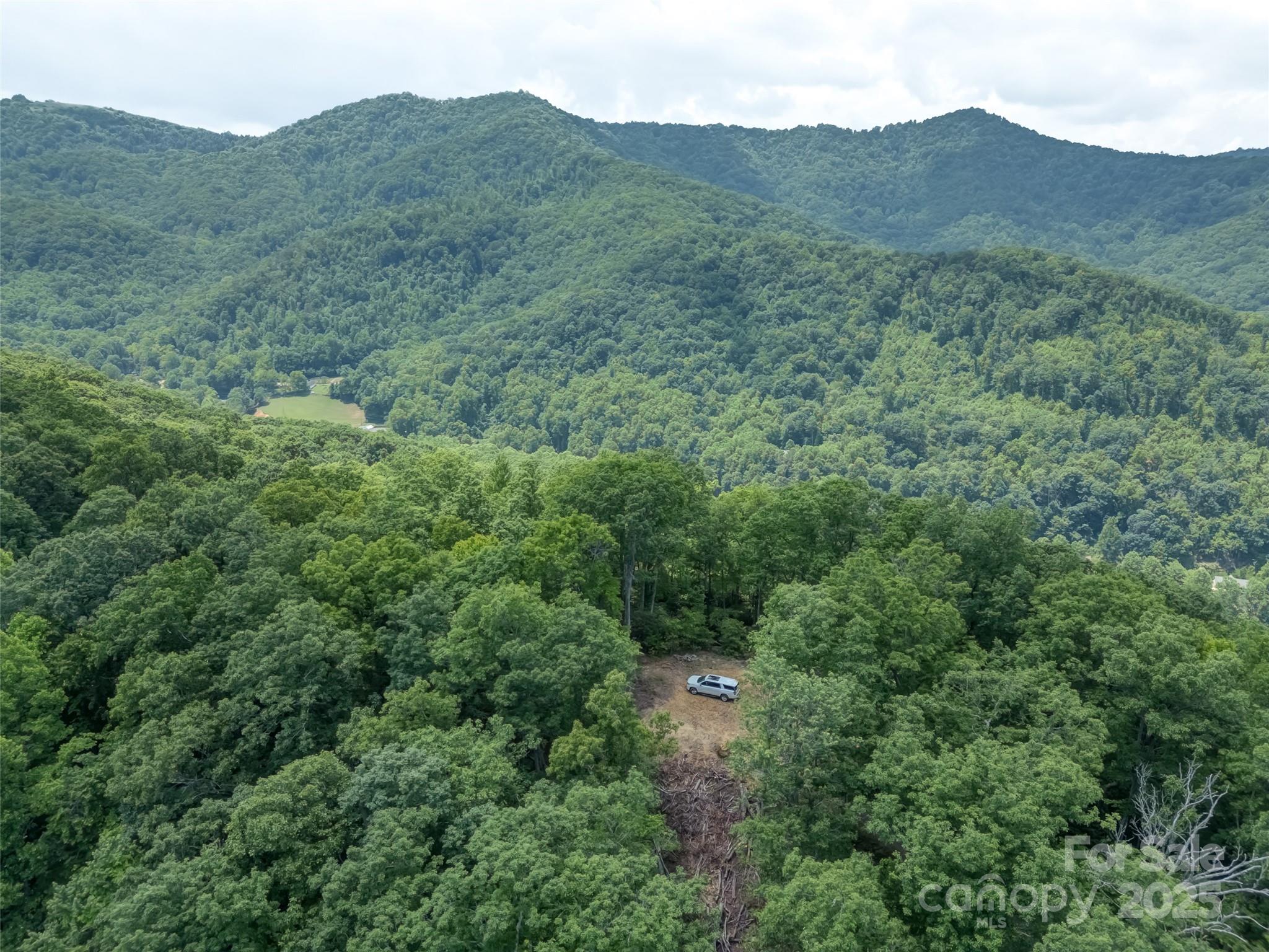 100 White Rock Br Road Candler, NC 28715 - Photo 4 of 32 an aerial view of a house with mountain view