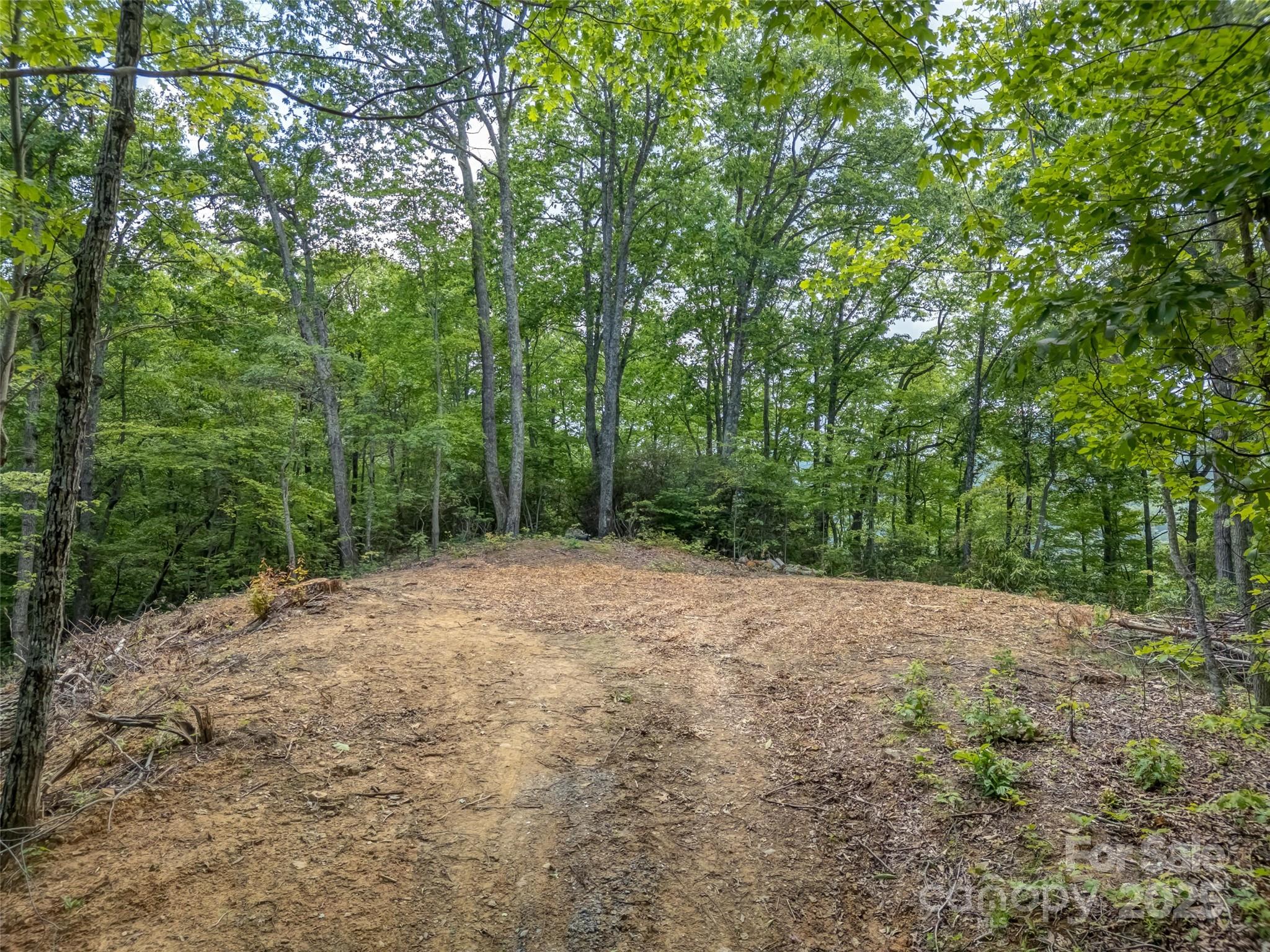 100 White Rock Br Road Candler, NC 28715 - Photo 6 of 32 a view of outdoor space and yard
