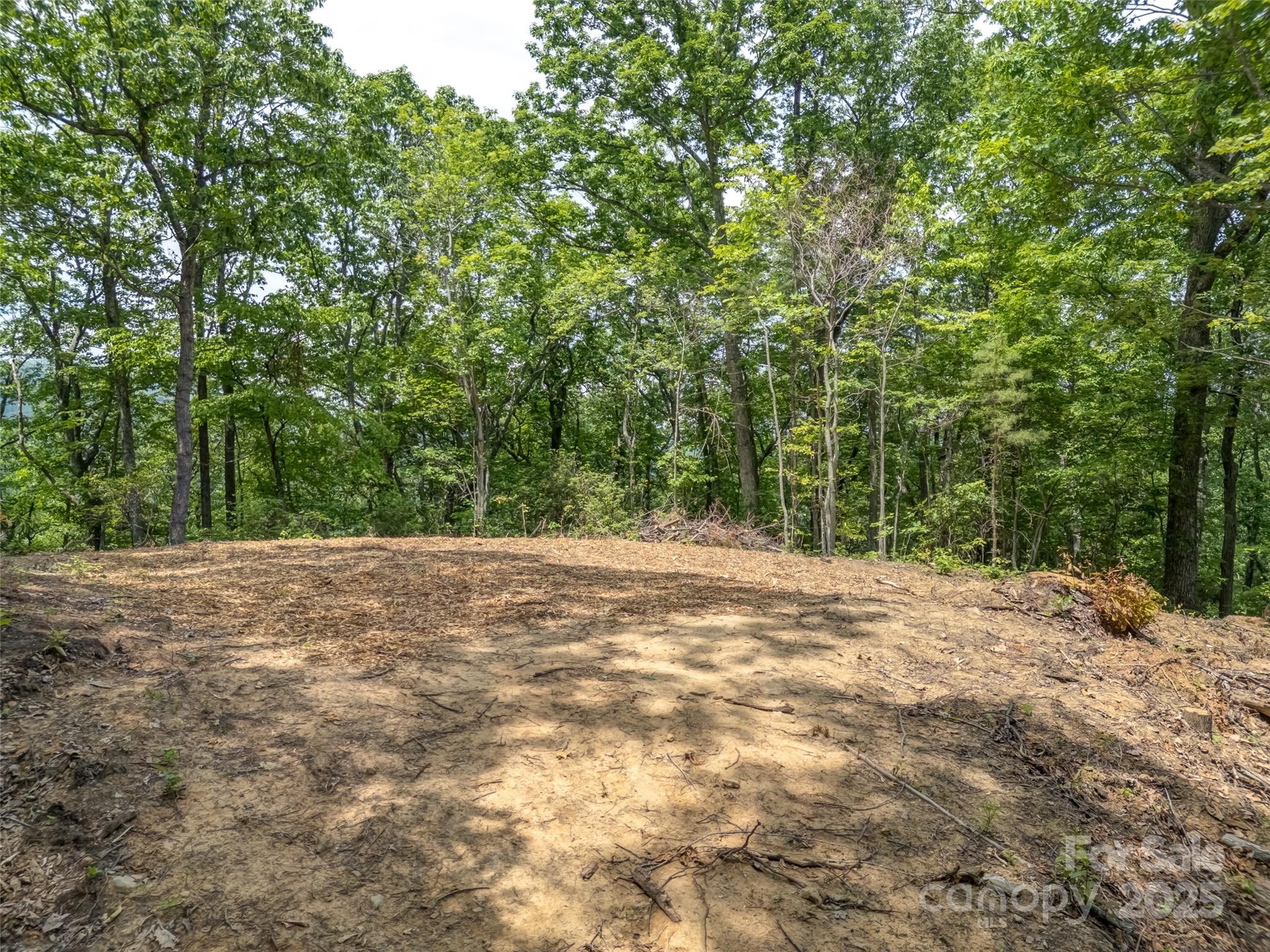 100 White Rock Br Road Candler, NC 28715 - Photo 8 of 32 a view of a yard with a tree