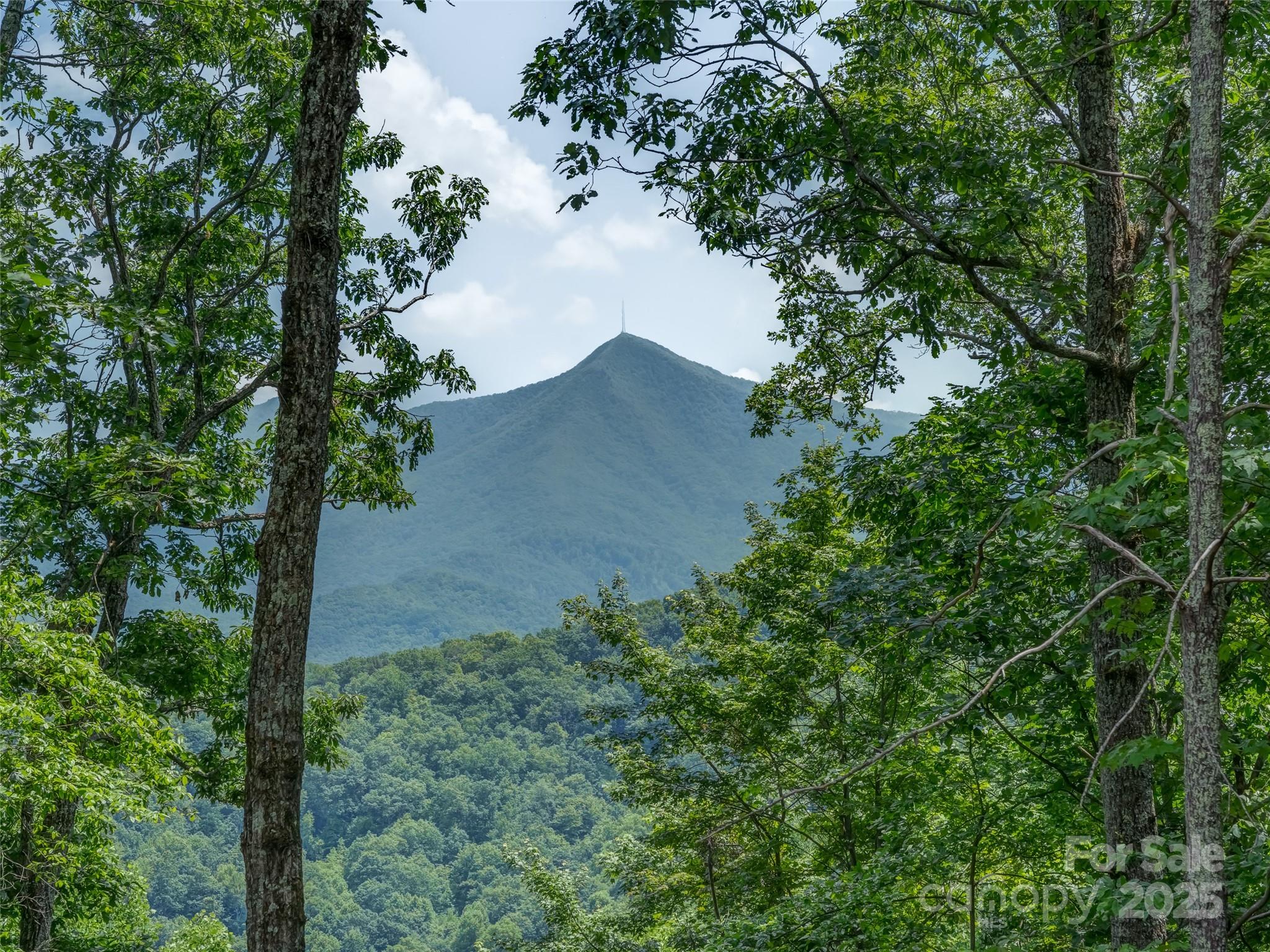 100 White Rock Br Road Candler, NC 28715 - Photo 10 of 32 an aerial view of a house with a yard