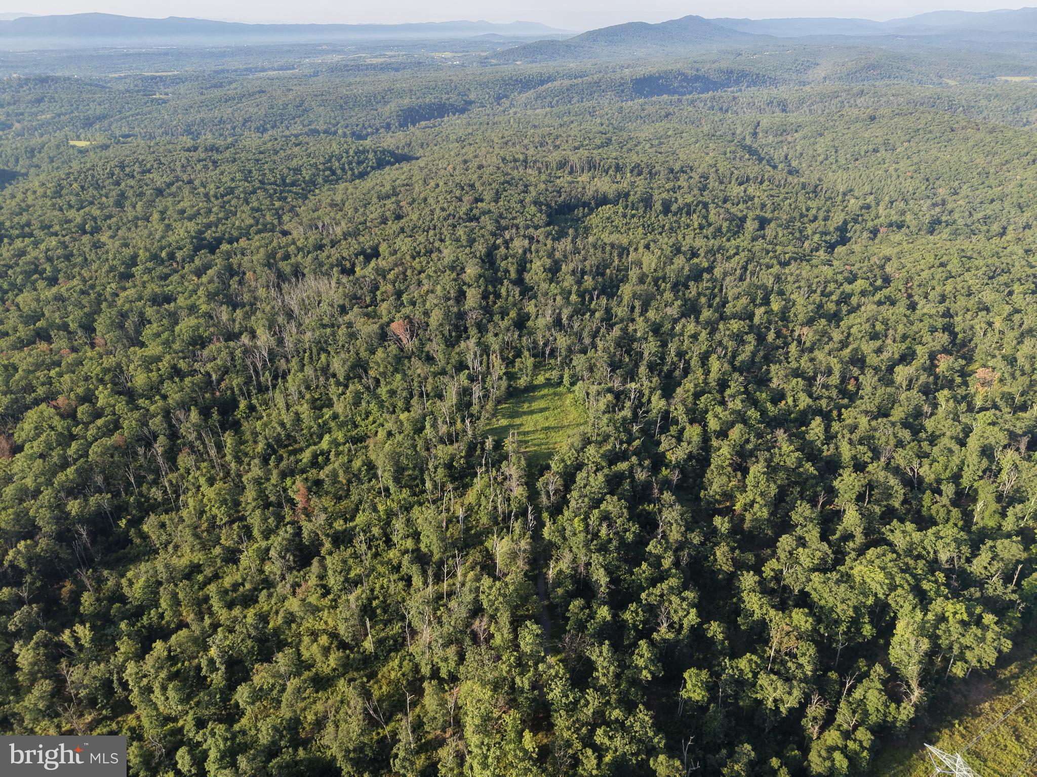 2 158.43 /- Acres Laurel Grove Road Winchester, VA 22602 - Photo 5 of 37 Gallery Image 5