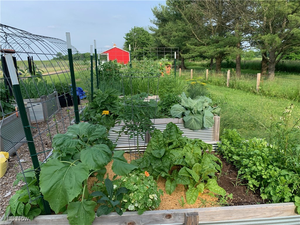 15701 Claridon Troy Road Burton, OH 44021 - Photo 10 of 16 Garden last summer with raised beds