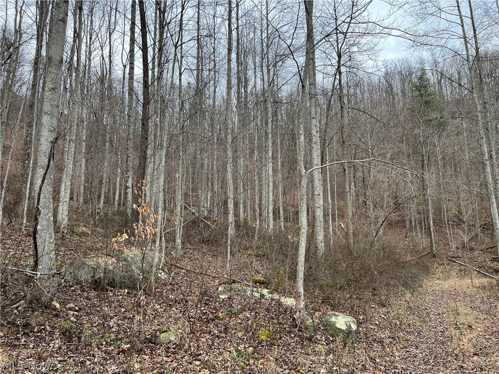 1101 Orchard Run Road Spencer, WV 25276 - Photo 18 of 31 Gallery Image 18