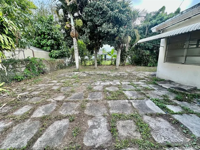a view of a yard with plants and a trees