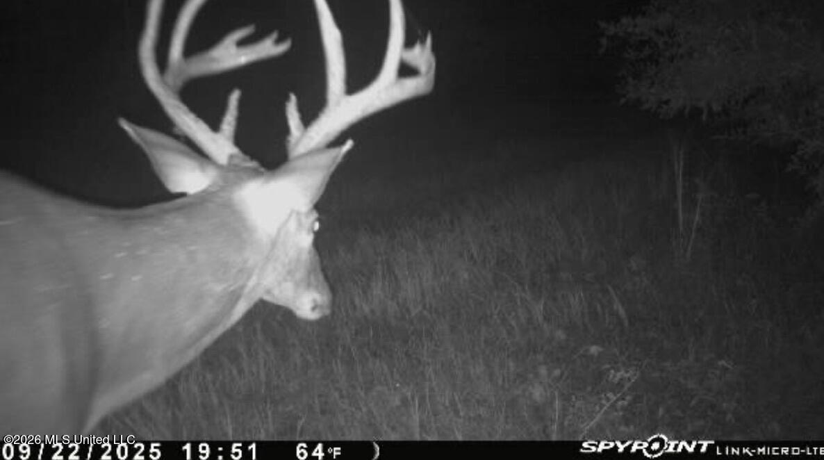 1 Highway 3 Lambert, MS 38643 - Photo 91 of 102 AA851ACE-211B-4FEC-B2E5-6FA1AB3AB470_1_1