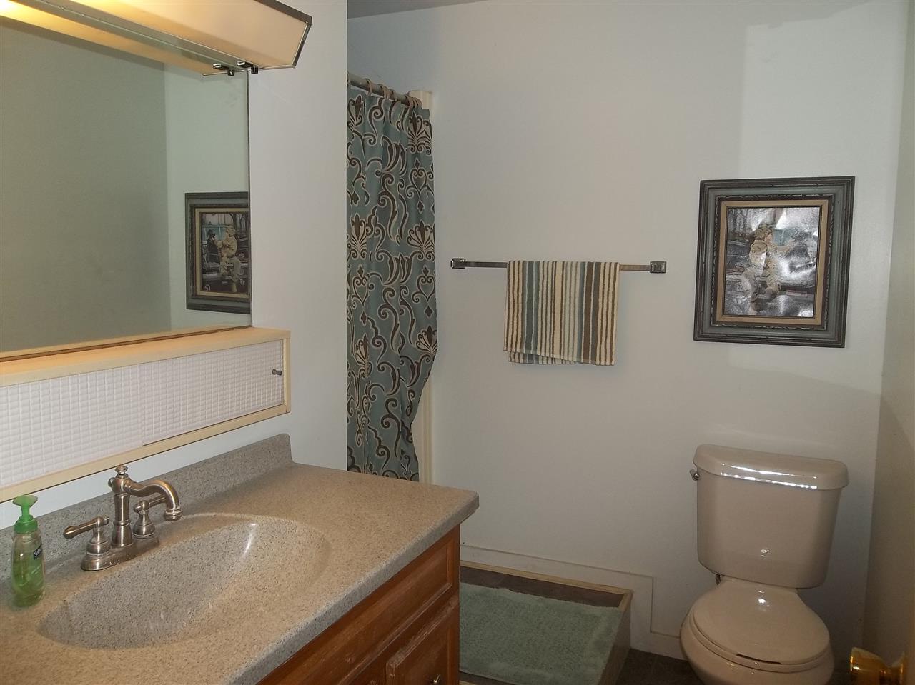 1203 East Blanchard Road Shepherd, MI 48883 - Photo 26 of 35 1798004-25.JPG