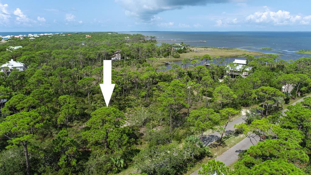 1939 Indian Harbor Road Eastpoint, FL 32328 - Photo 2 of 5