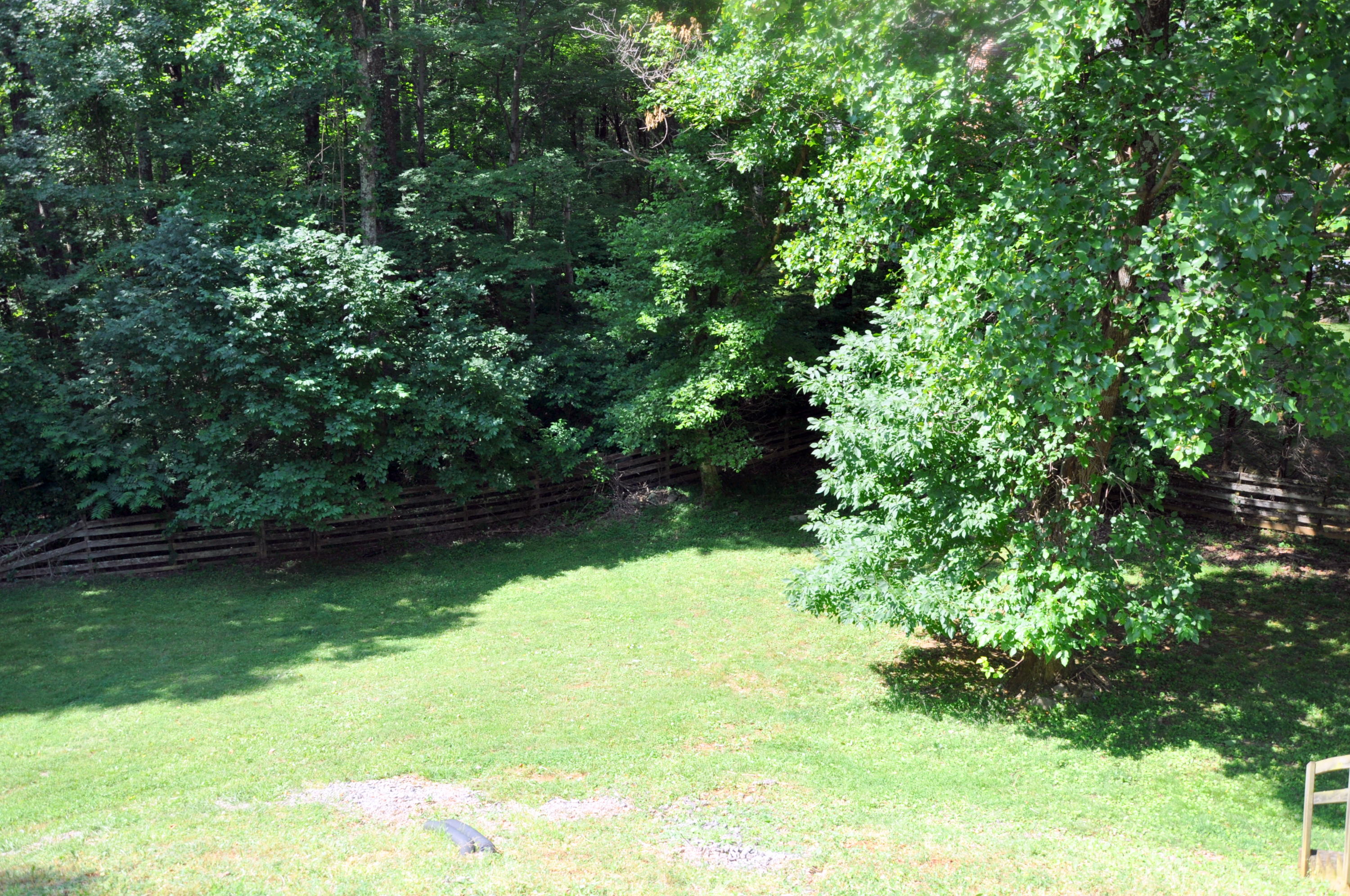 2787 Jeters Chapel Road Vinton, VA 24179 - Photo 24 of 30 BACK YARD
