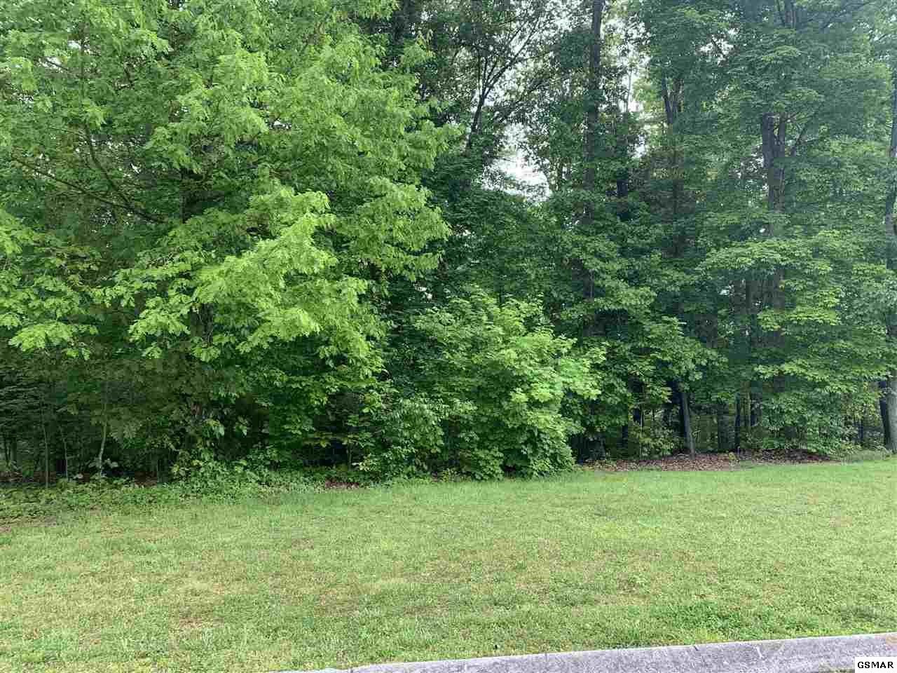 26 Devon Way Road White Pine, TN 37890 - Photo 3 of 5 Gallery Image 3