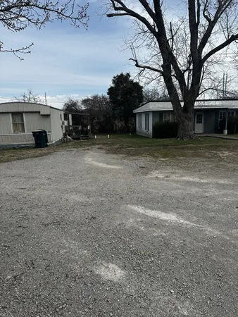a view of a yard with a large tree