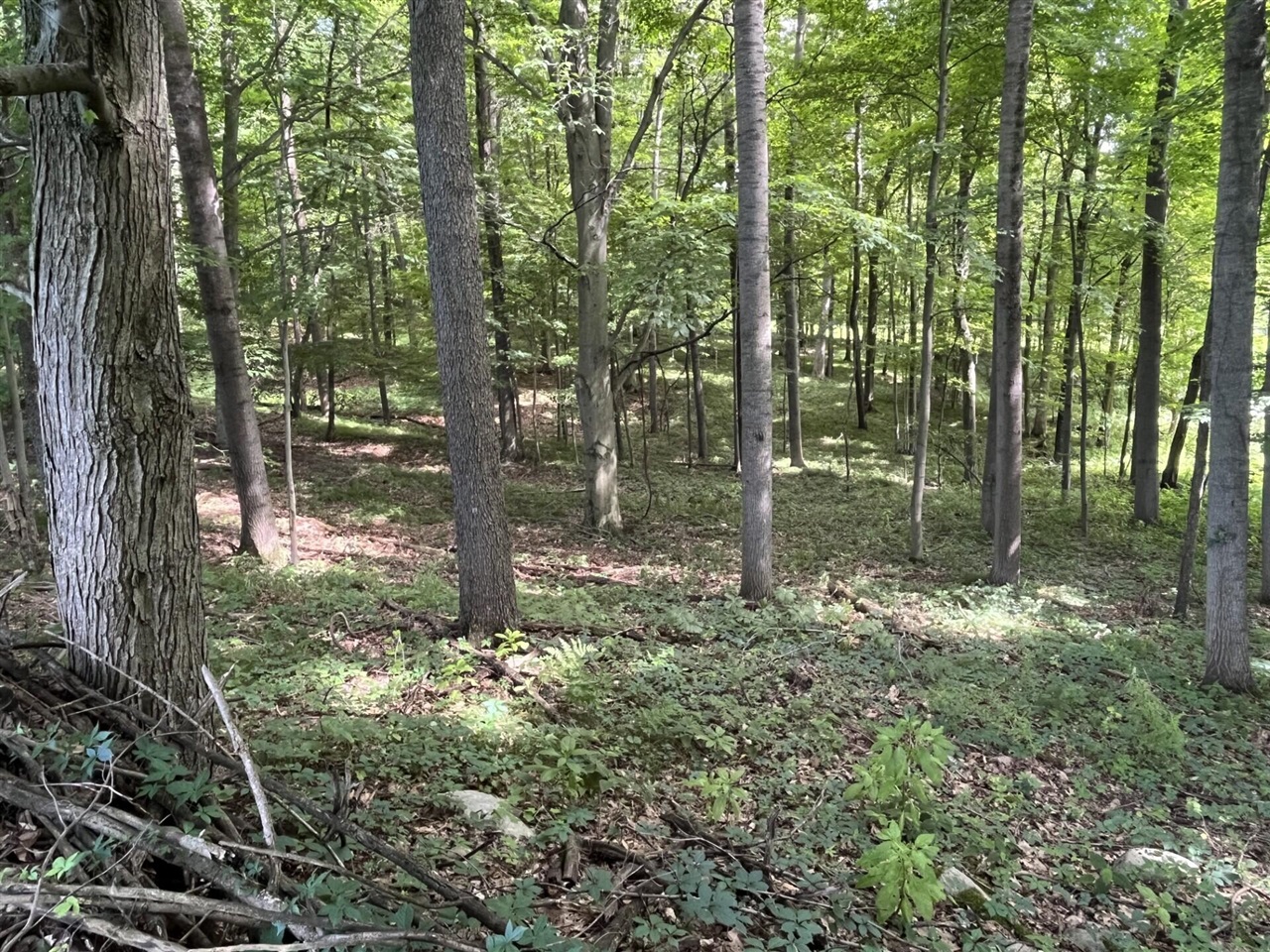 Par A North Backus Road Stanton, MI 48888 - Photo 10 of 16
