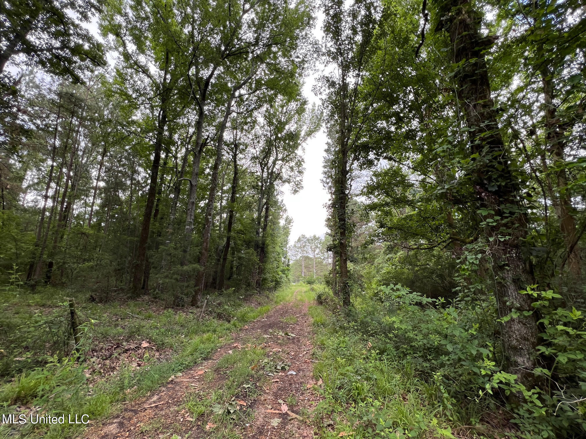2107 Gunter Road Walnut Grove, MS 39189 - Photo 4 of 17 4 - Copy