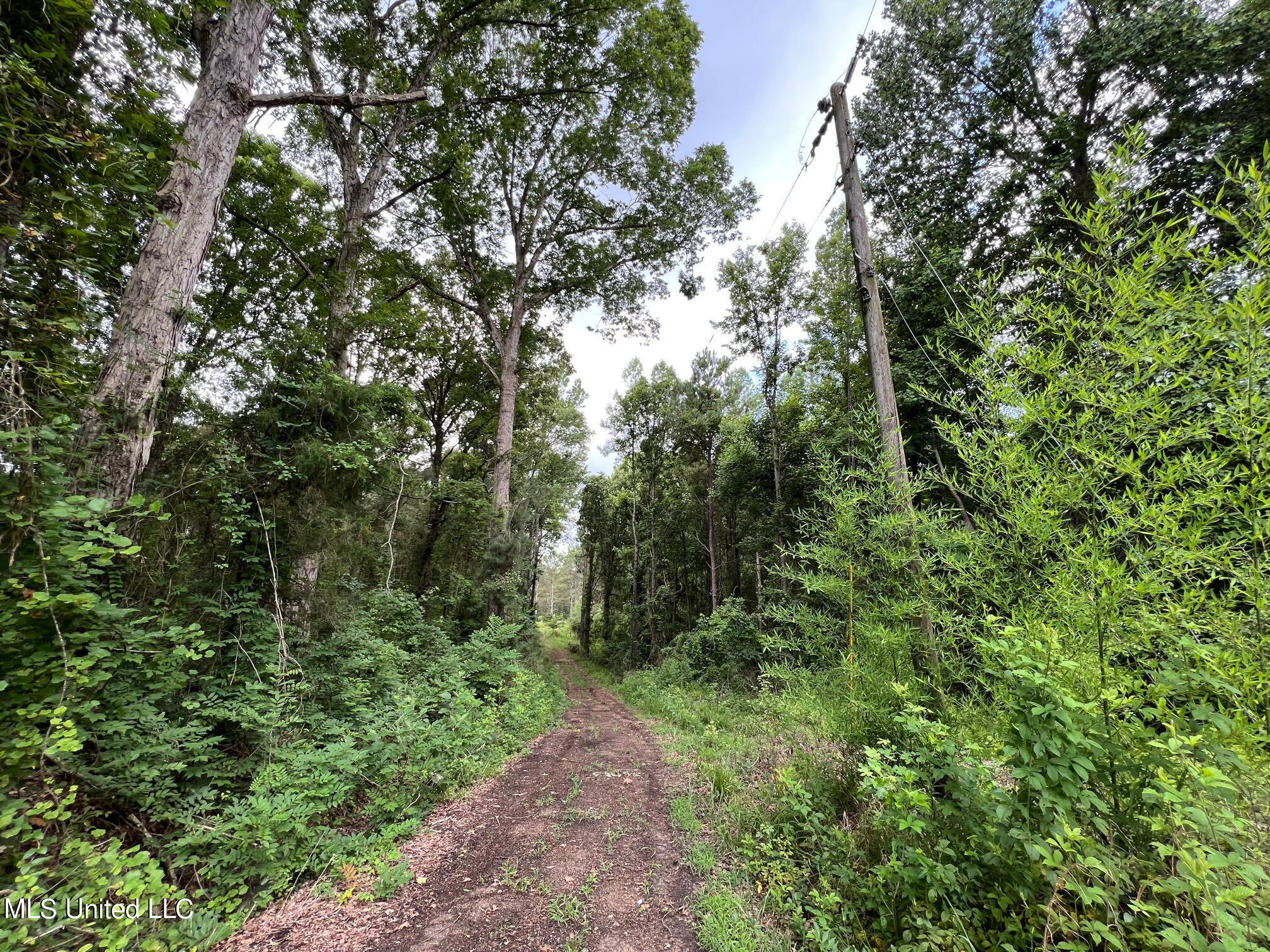 2107 Gunter Road Walnut Grove, MS 39189 - Photo 5 of 17 6 - Copy
