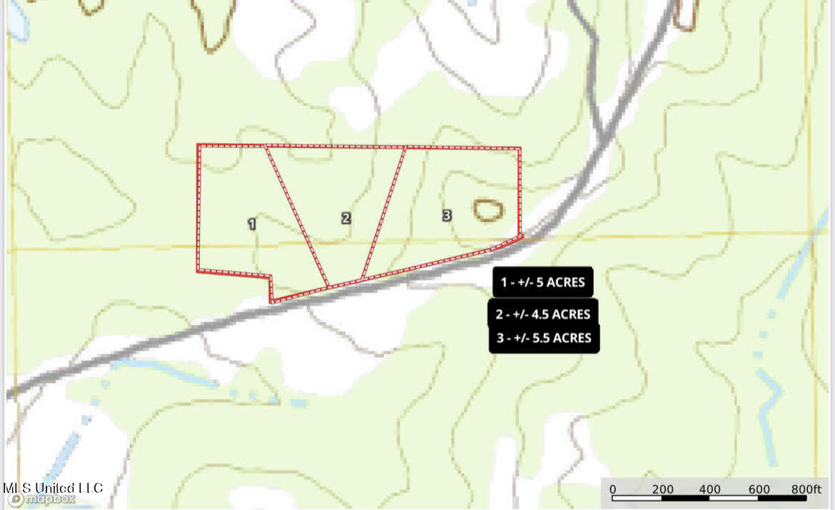 2107 Gunter Road Walnut Grove, MS 39189 - Photo 8 of 17 9 - Copy