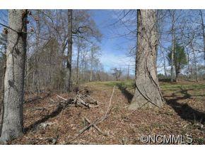 0 Claude Gilbert Road Columbus, NC 28722 - Photo 12 of 19