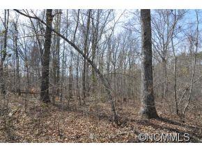 0 Claude Gilbert Road Columbus, NC 28722 - Photo 13 of 19