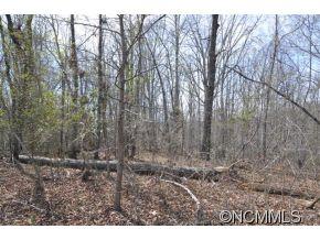 0 Claude Gilbert Road Columbus, NC 28722 - Photo 14 of 19
