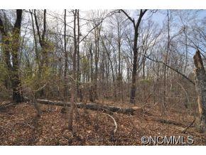 0 Claude Gilbert Road Columbus, NC 28722 - Photo 16 of 19