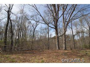 0 Claude Gilbert Road Columbus, NC 28722 - Photo 17 of 19
