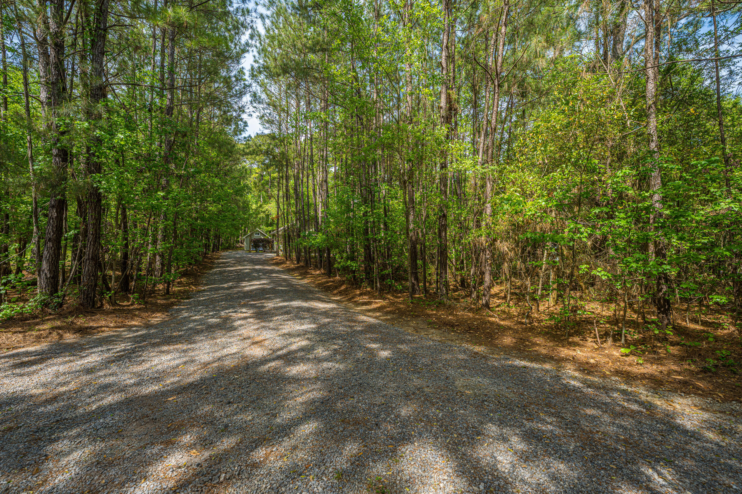 6037 Chisolm Road Johns Island, SC 29455 - Photo 31 of 42 6037ChisolmRd031