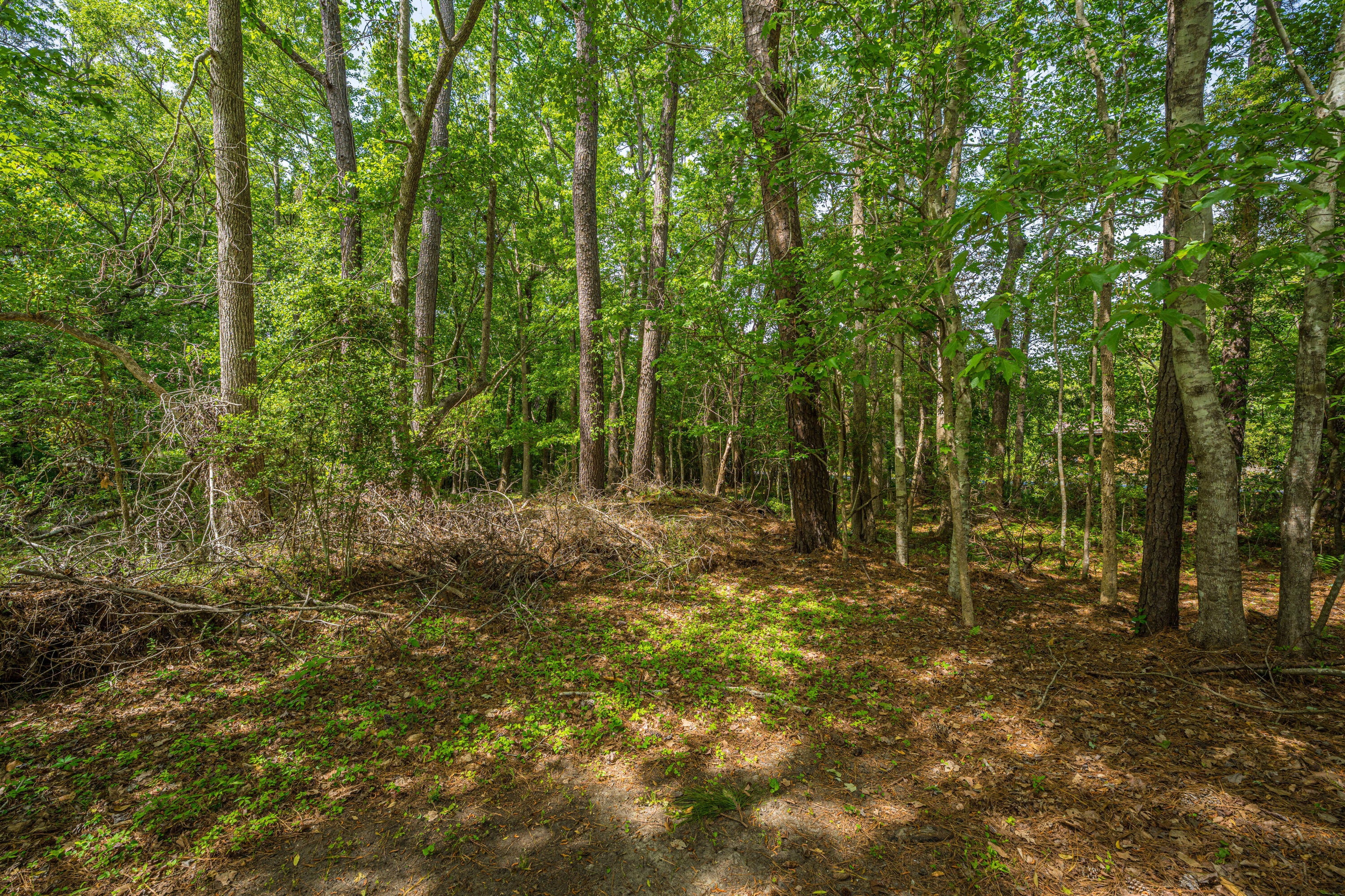 6037 Chisolm Road Johns Island, SC 29455 - Photo 41 of 42 6037ChisolmRd041