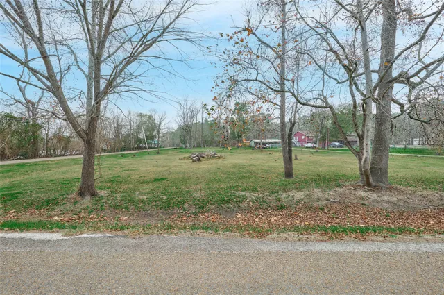 a view of a tree in a yard