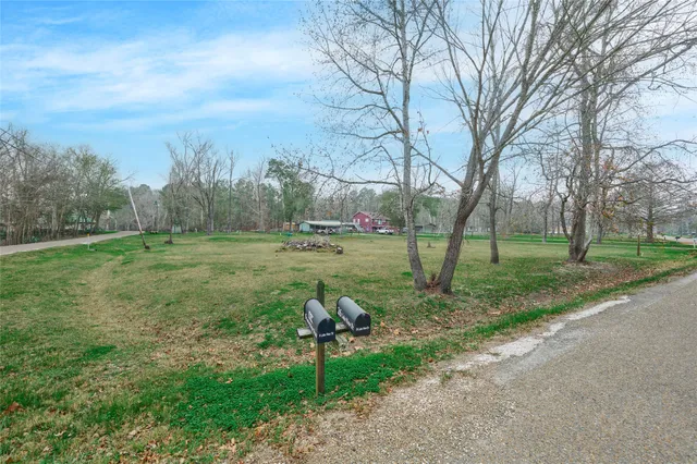 a view of a park with large trees