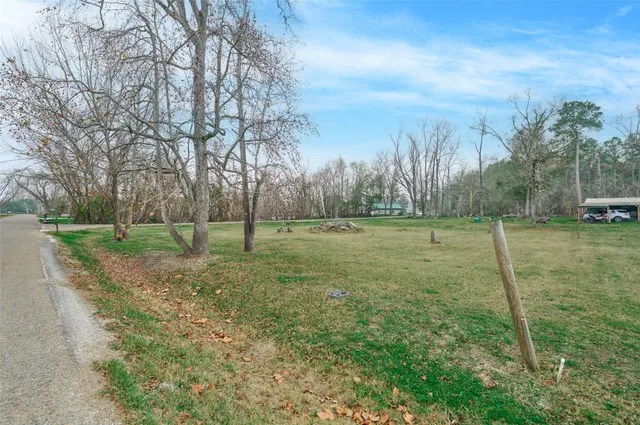 a view of a field with trees