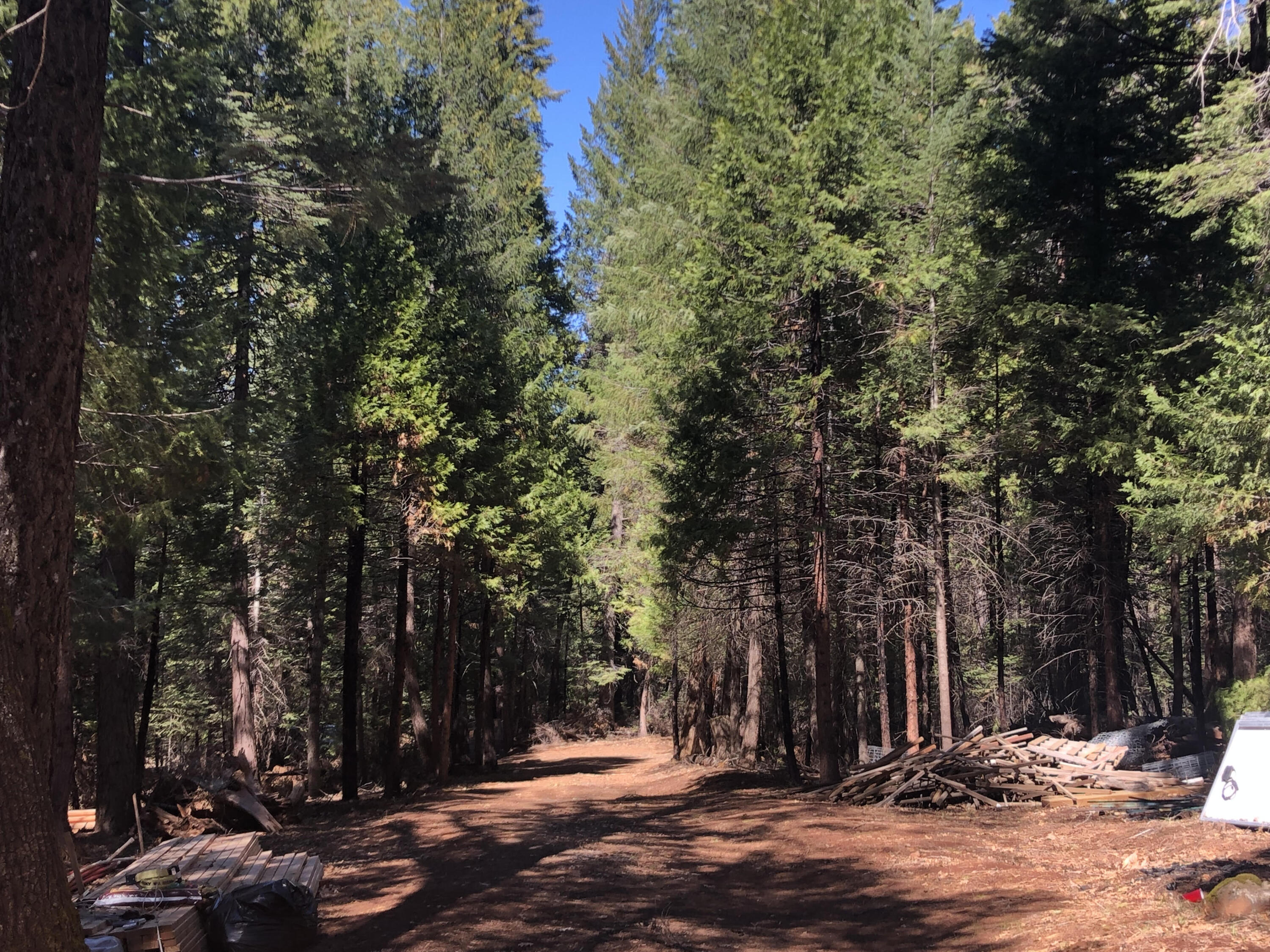 30601 100 Road Shingletown, CA 96088 - Photo 1 of 8 private treed 2.9 ac.