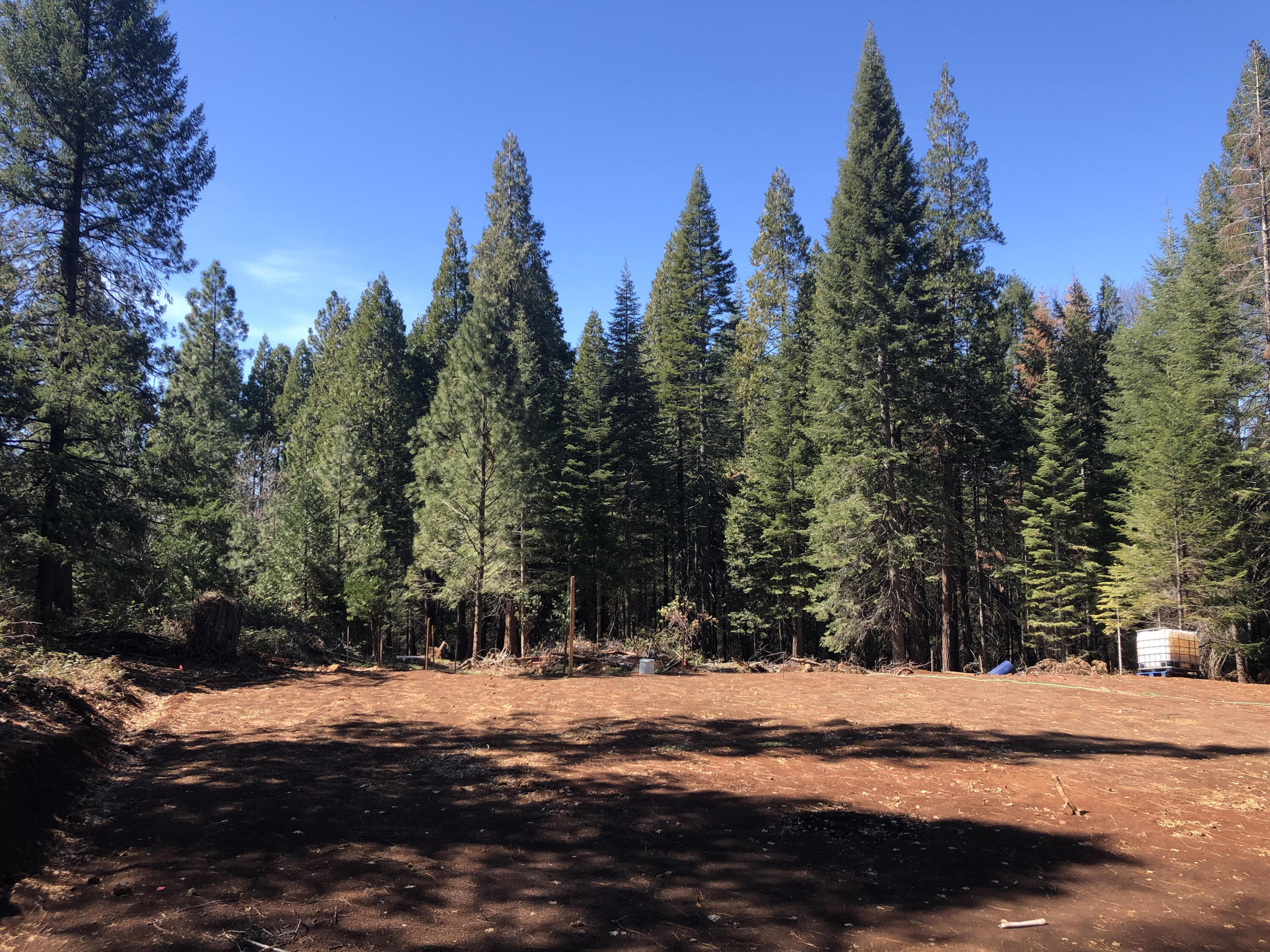 30601 100 Road Shingletown, CA 96088 - Photo 2 of 8 Beautiful level home site