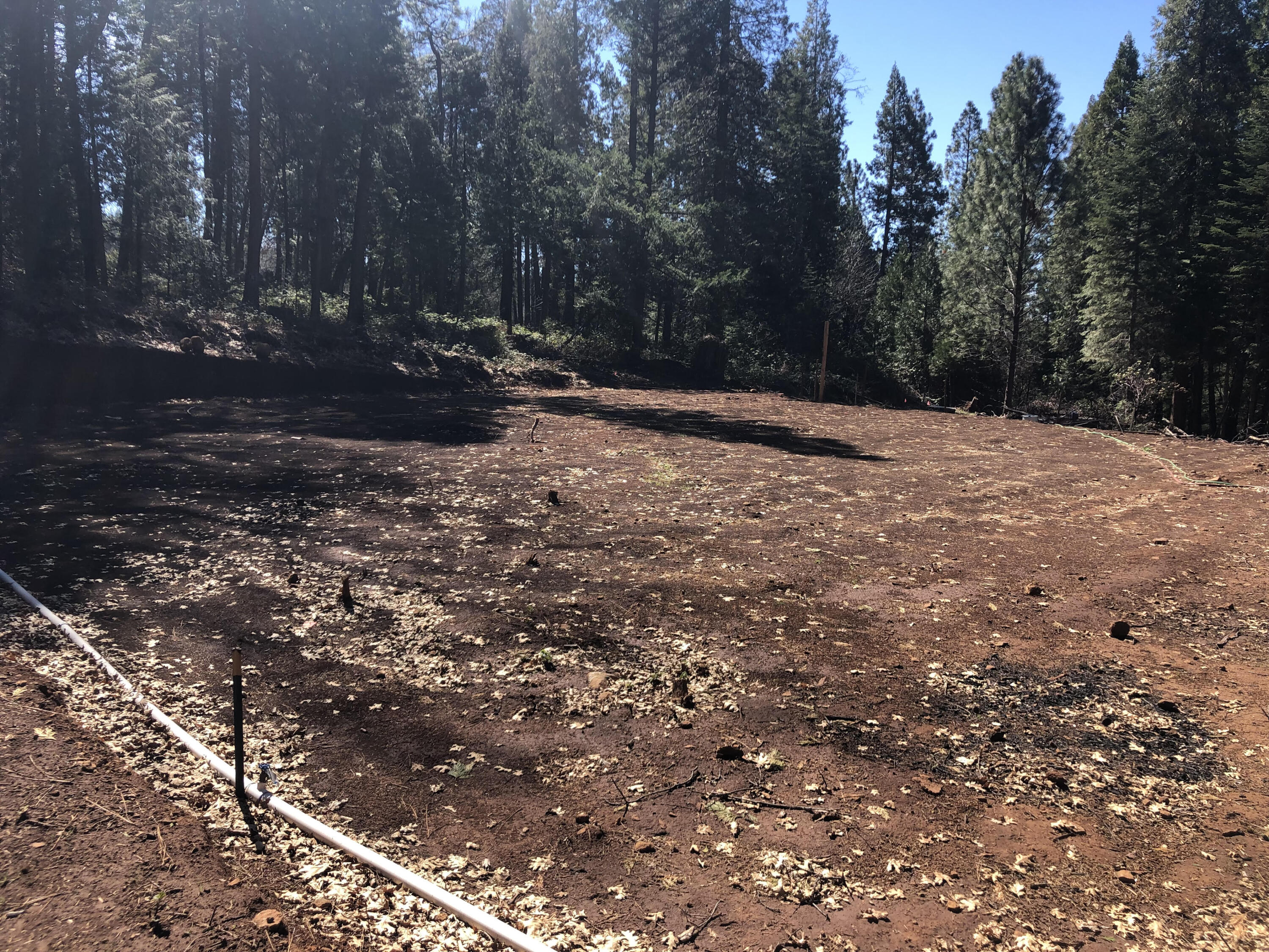 30601 100 Road Shingletown, CA 96088 - Photo 6 of 8 Large cut building pad