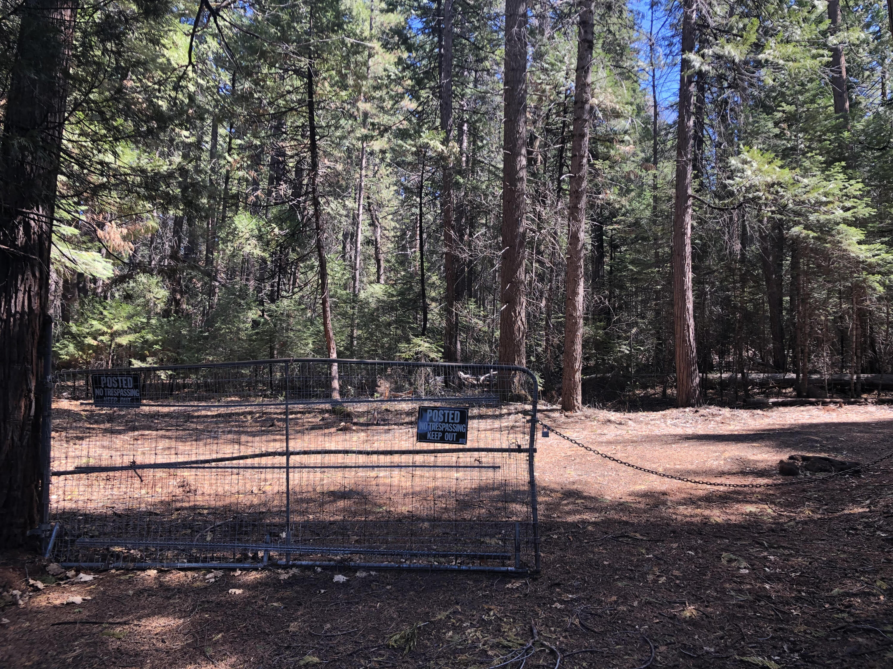30601 100 Road Shingletown, CA 96088 - Photo 8 of 8 gated entry