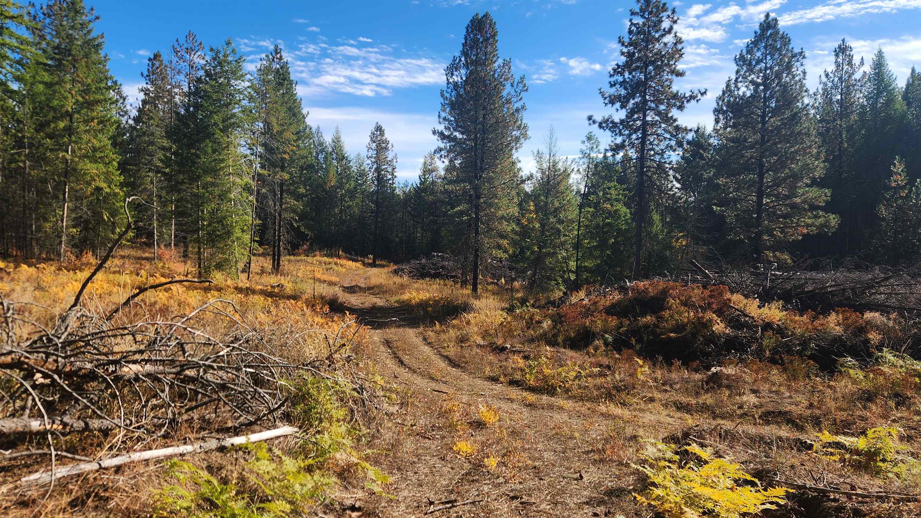 43-xx Lyons Hill Road Springdale, WA 99173 - Photo 2 of 14