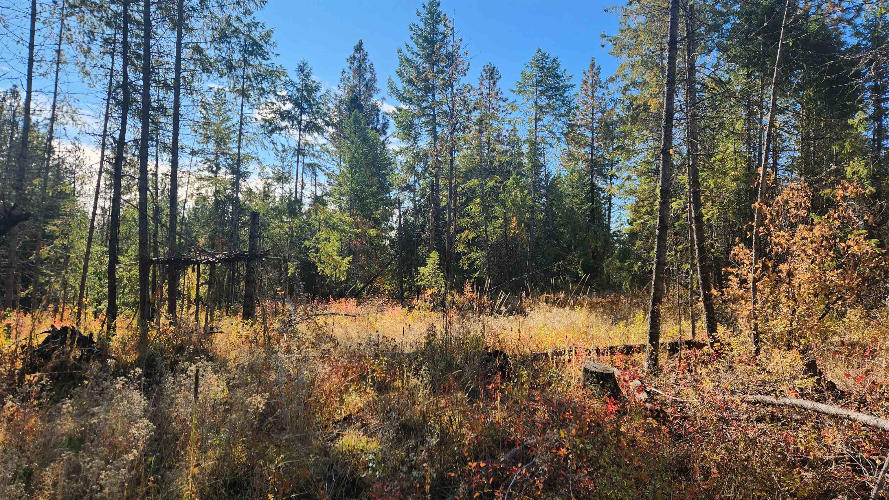 43-xx Lyons Hill Road Springdale, WA 99173 - Photo 8 of 14