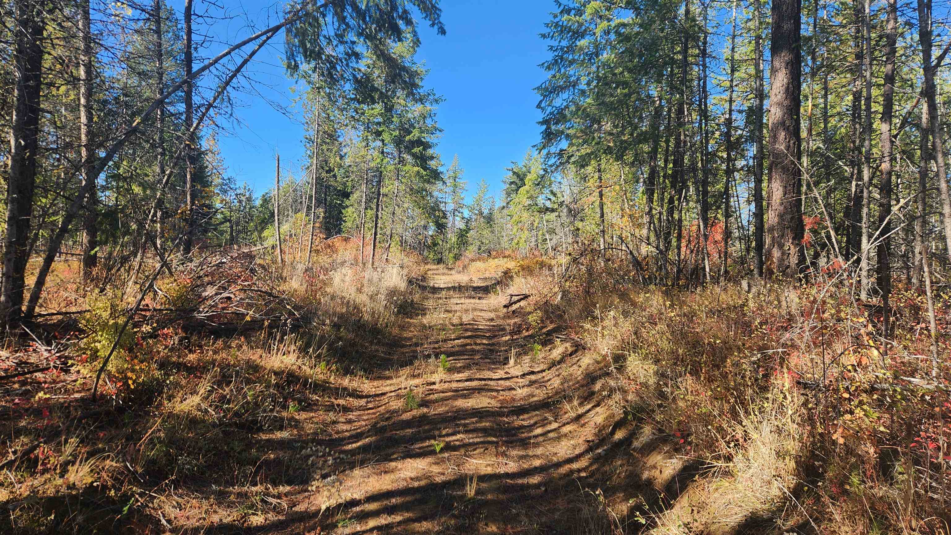 43-xx Lyons Hill Road Springdale, WA 99173 - Photo 9 of 14