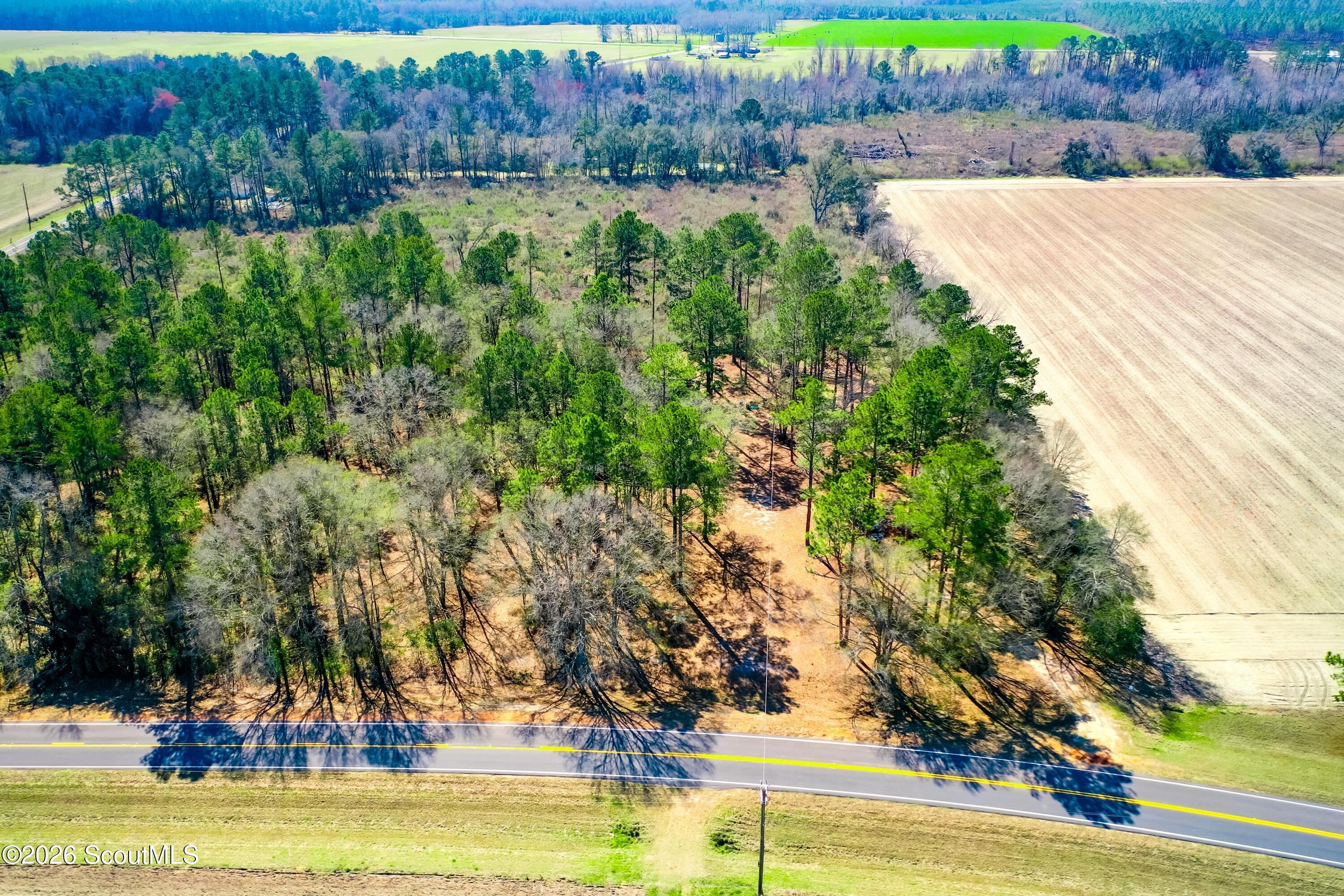 3259 West Horseshoe Road Blackshear, GA 31516 - Photo 3 of 36 003-3