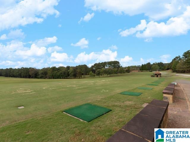 471 Ballantrae Road Pelham, AL 35124 - Photo 77 of 78 Gallery Image 77
