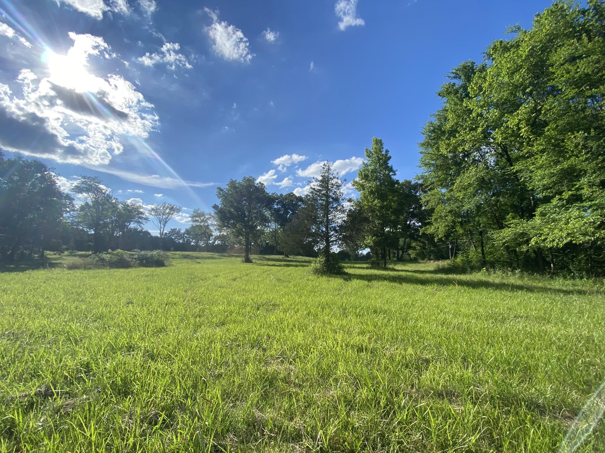 17.09-acres Lagrange Road Somerville, TN 38068 - Photo 1 of 20 Gallery Image 1