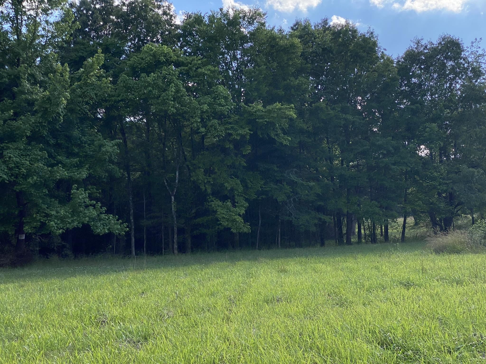 17.09-acres Lagrange Road Somerville, TN 38068 - Photo 13 of 20 Gallery Image 13