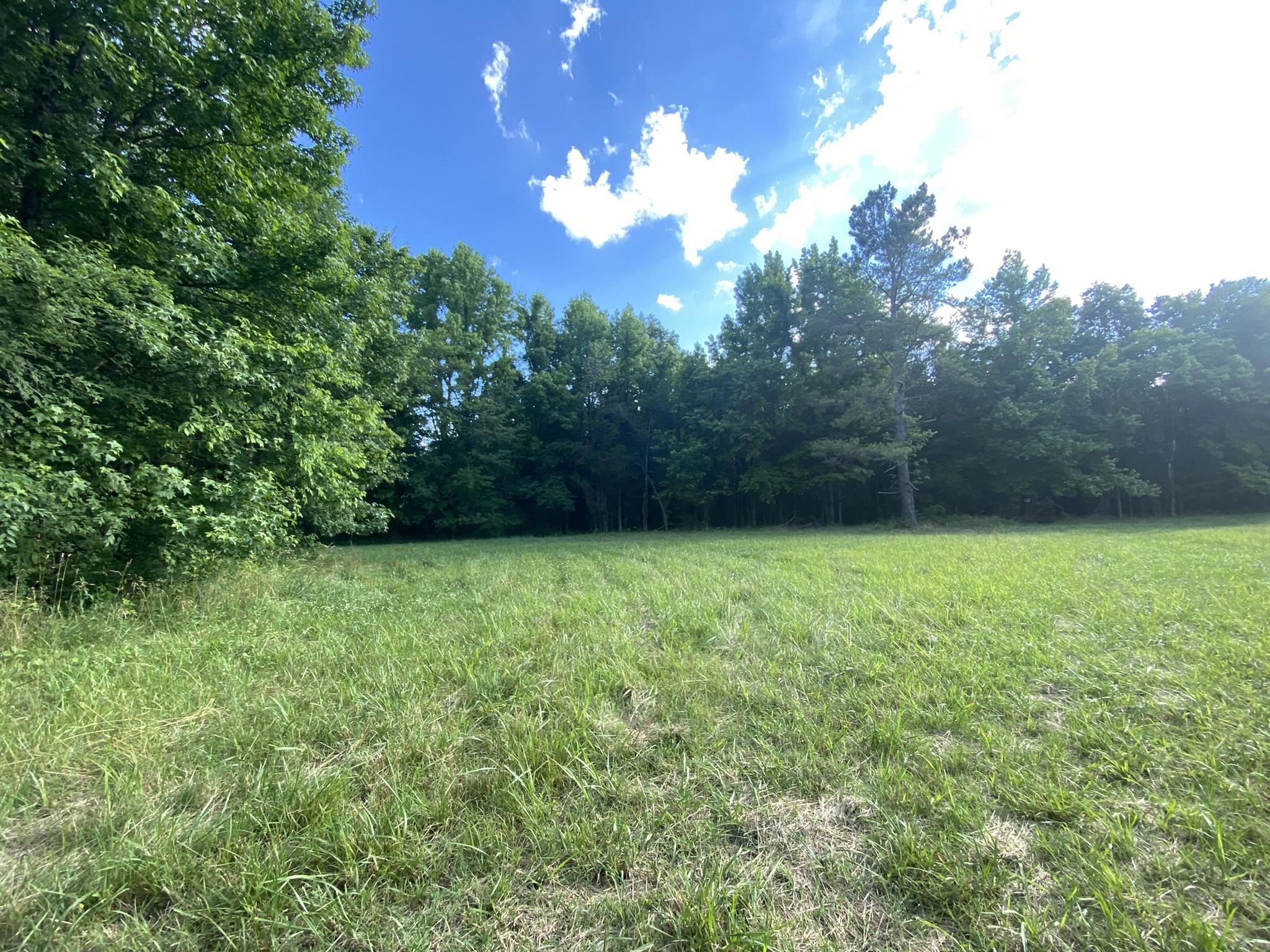 17.09-acres Lagrange Road Somerville, TN 38068 - Photo 15 of 20 Gallery Image 15