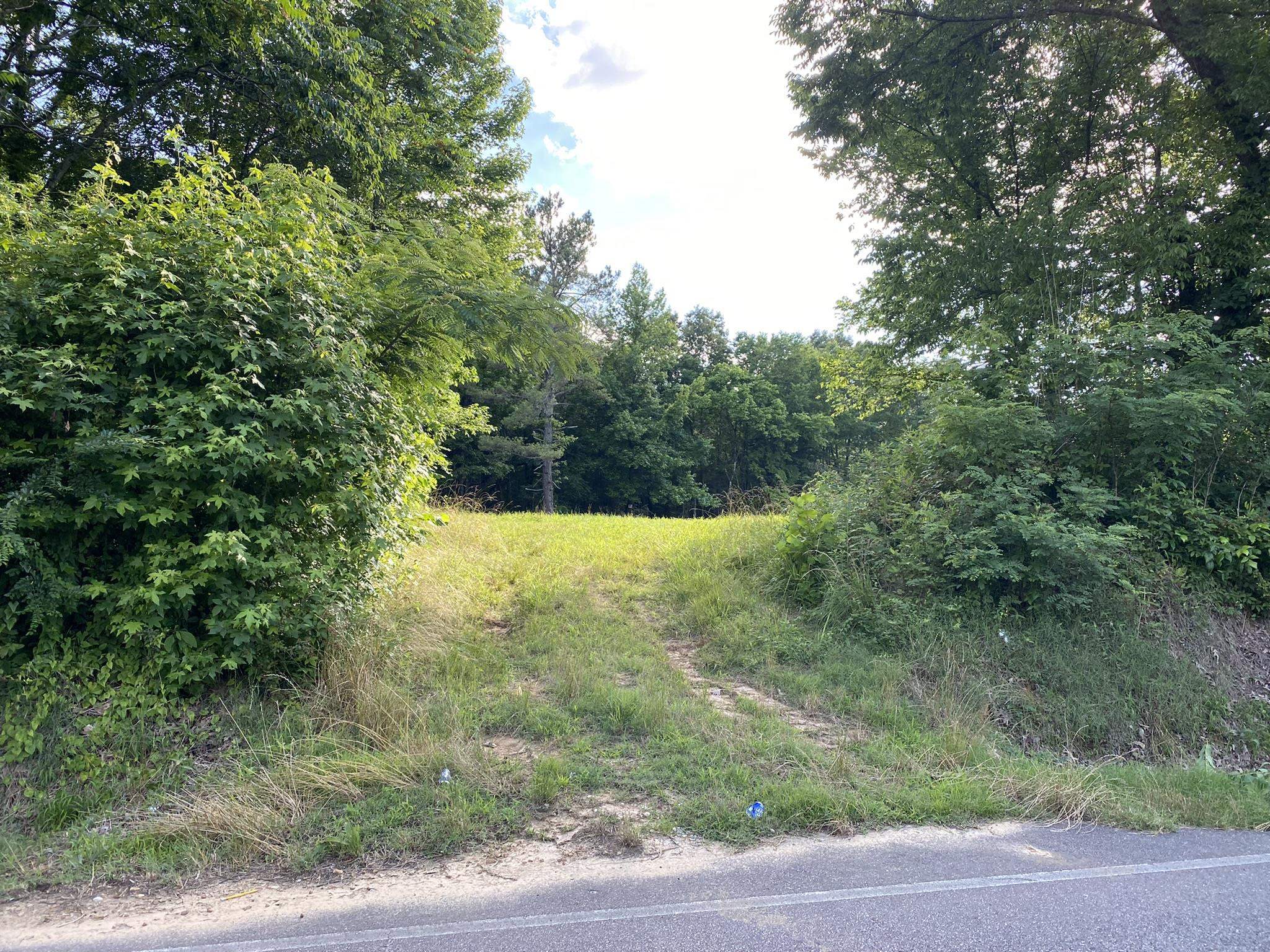 17.09-acres Lagrange Road Somerville, TN 38068 - Photo 16 of 20 Gallery Image 16